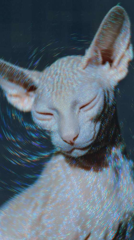 Nocturne Blur